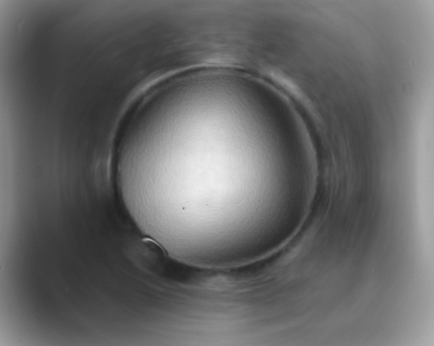 X0000089761222200707051827