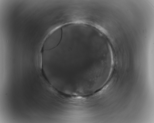 X0000089761223200707051827