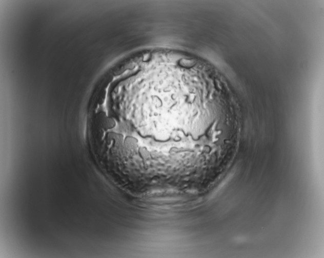 X0000089761224200707051827