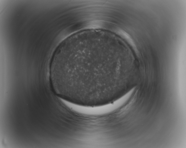 X0000089761226200707051827