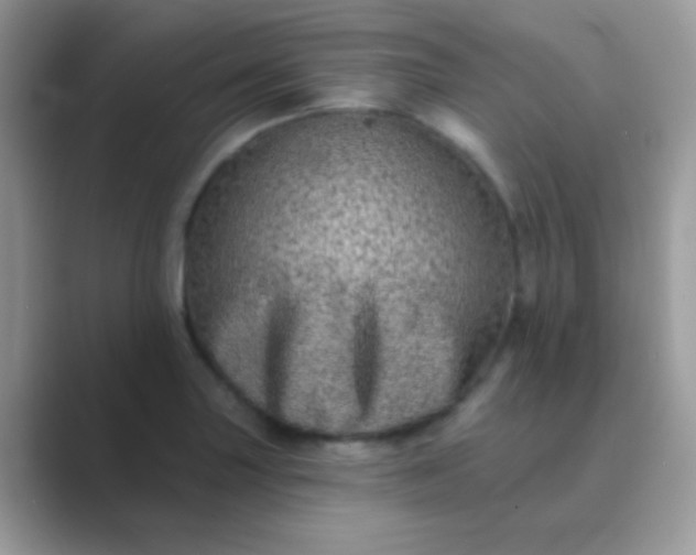 X0000089761227200707051827