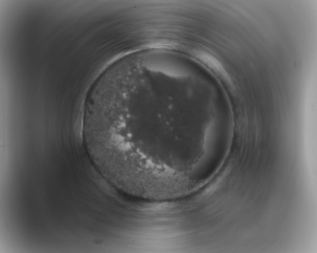 X0000089761228200707051827