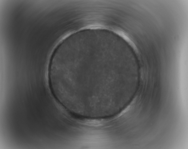 X0000089761229200707051827