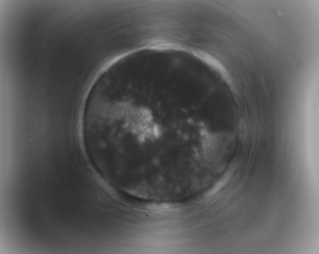 X0000089761231200707051827