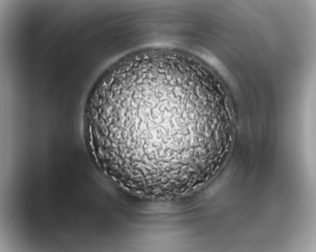 X0000089761232200707051827