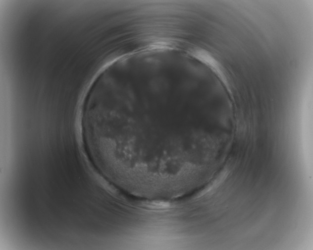 X0000089761235200707051827