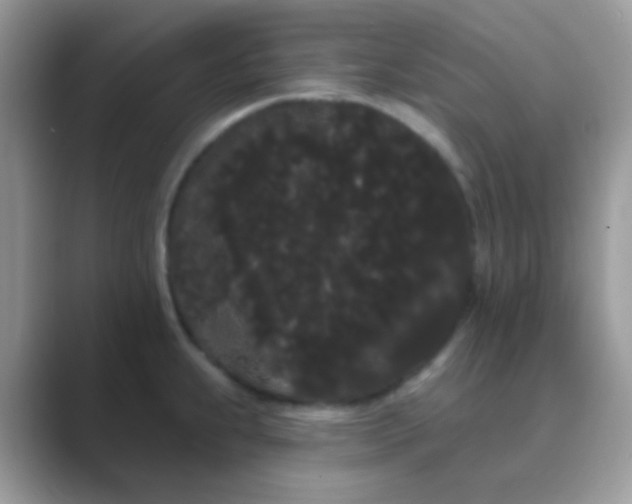 X0000089761239200707051827