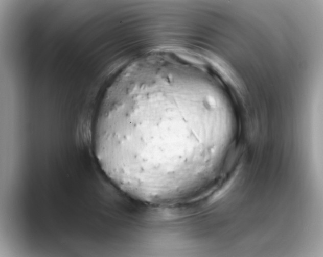 X0000089761241200707051827