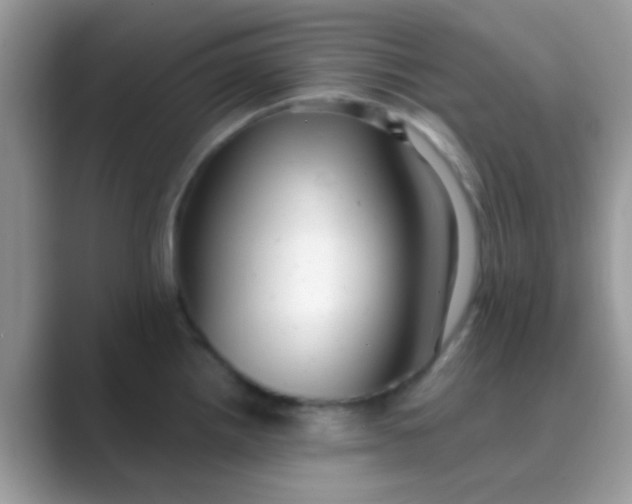 X0000089761242200707051827