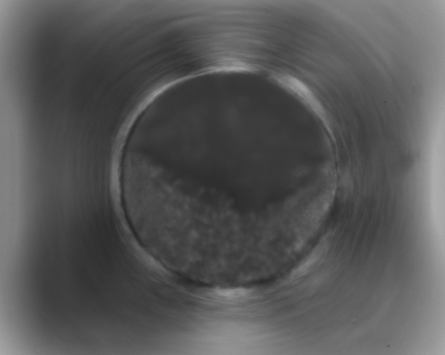 X0000089761243200707051827