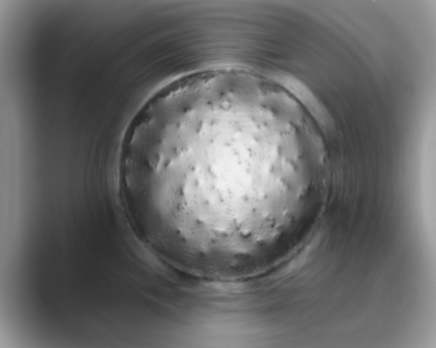 X0000089761244200707051827