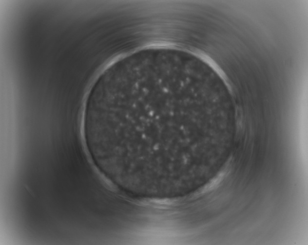 X0000089761245200707051827