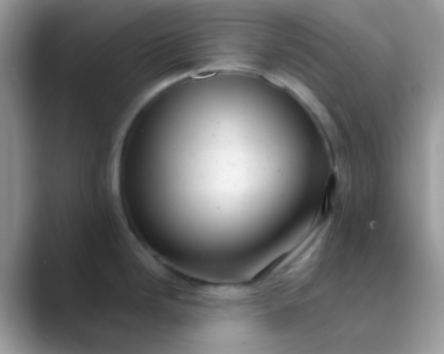 X0000089761246200707051827