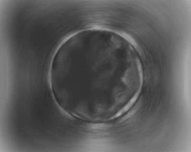 X0000089761247200707051827