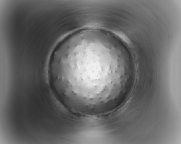 X0000089761248200707051827