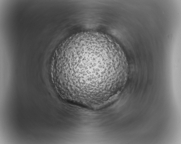 X0000089761249200707051827