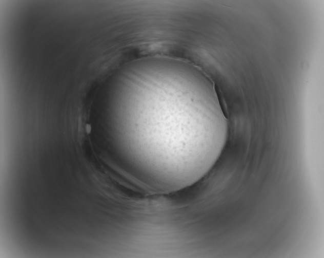 X0000089761250200707051827