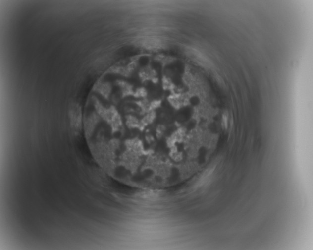 X0000089761251200707051827