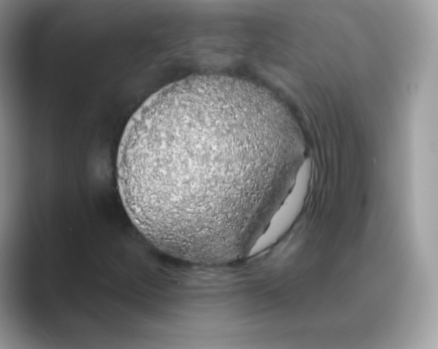 X0000089761252200707051827