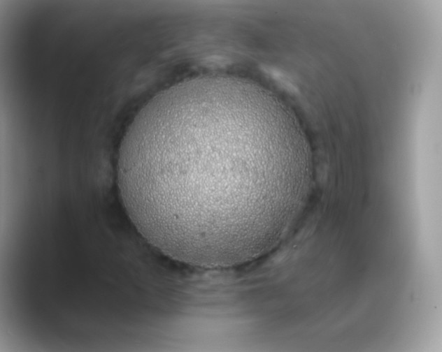 X0000089761253200707051827