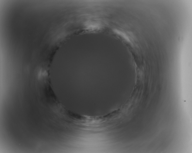 X0000089761254200707051827