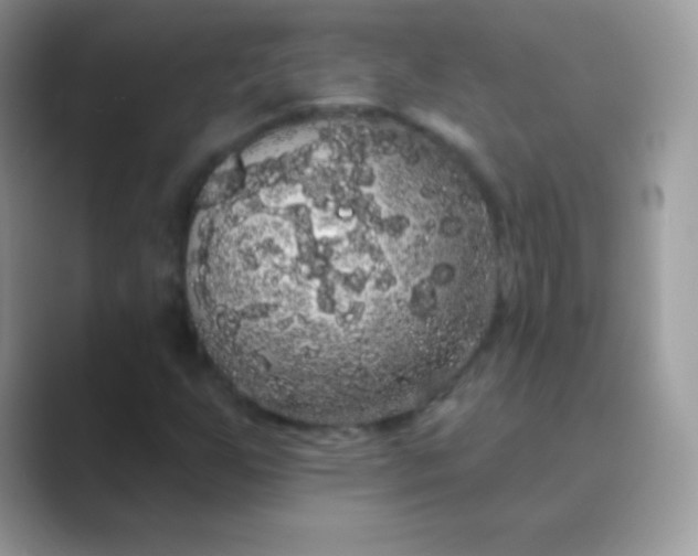 X0000089761255200707051827