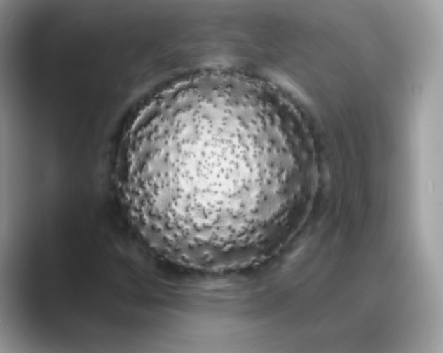 X0000089761256200707051827