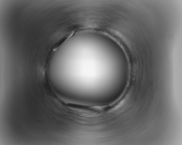 X0000089761257200707051827