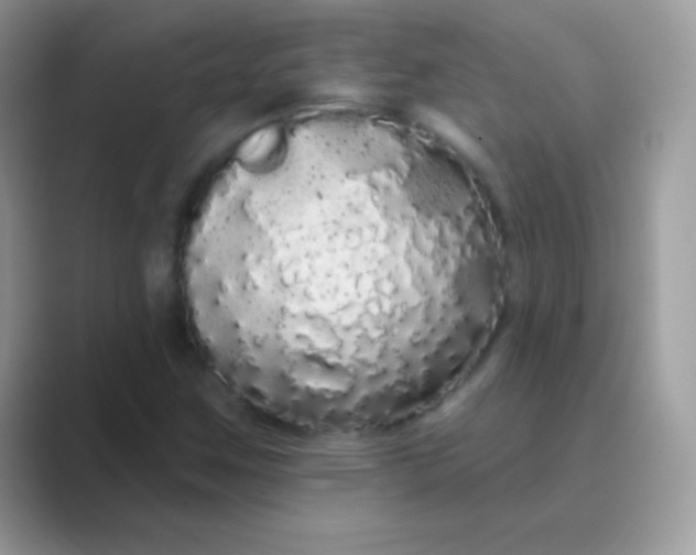 X0000089761259200707051827