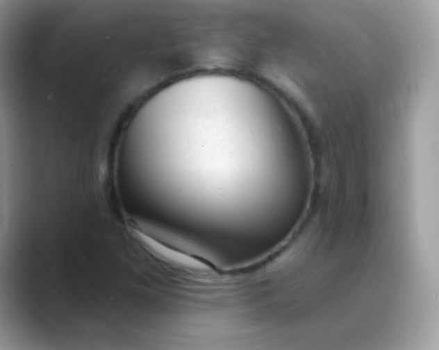 X0000089761261200707051827