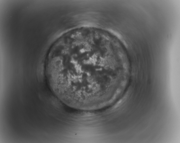 X0000089761263200707051827