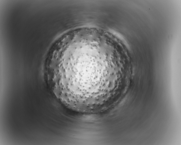 X0000089761264200707051827