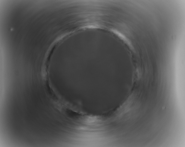 X0000089761266200707051827