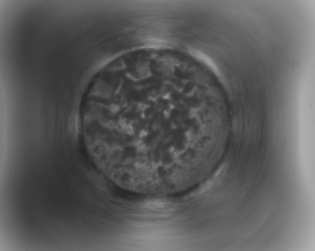 X0000089761267200707051827