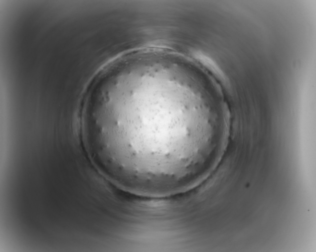 X0000089761268200707051827