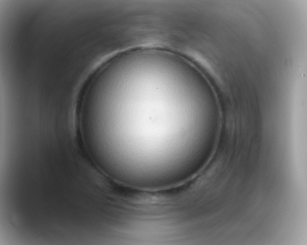 X0000089761270200707051827