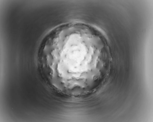 X0000089761271200707051827