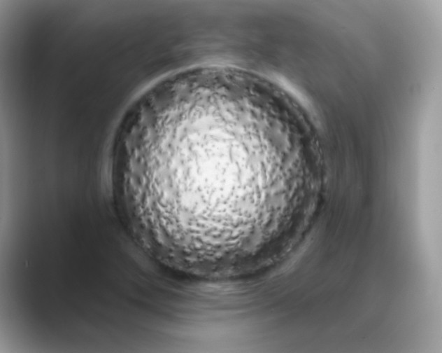 X0000089761272200707051827