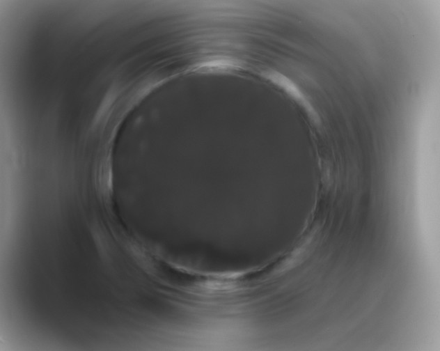 X0000089761274200707051827