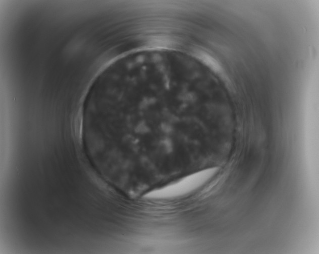 X0000089761275200707051827