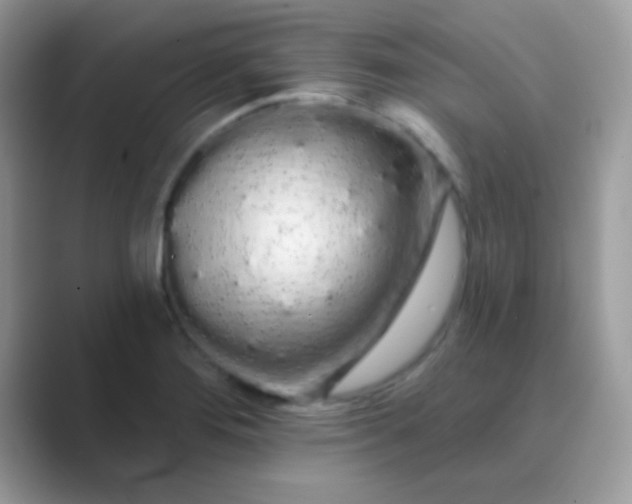 X0000089761276200707051827