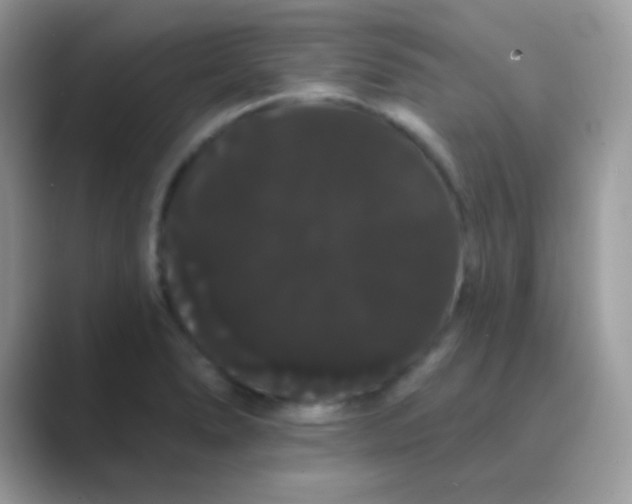 X0000089761278200707051827