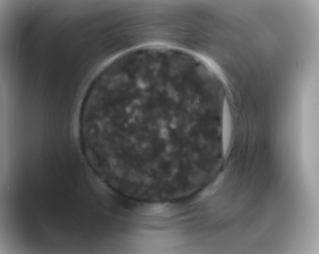 X0000089761279200707051826