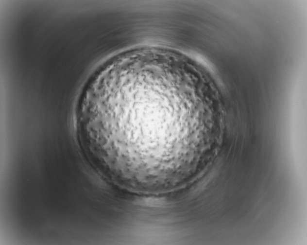 X0000089761280200707051826