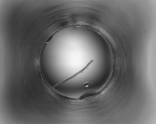 X0000089761281200707051826