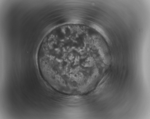 X0000089761283200707051826