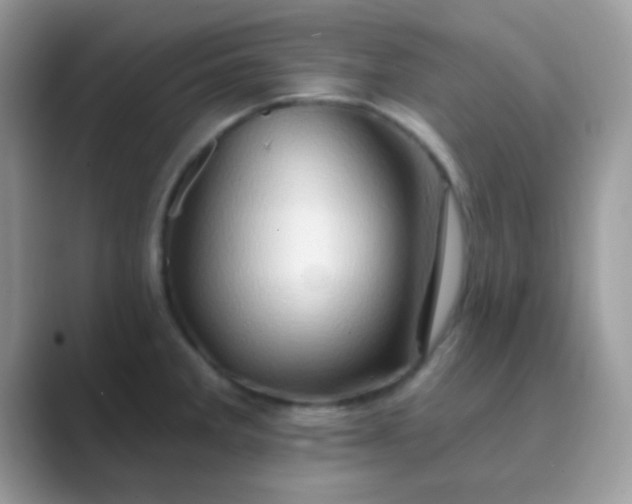 X0000089761285200707051826