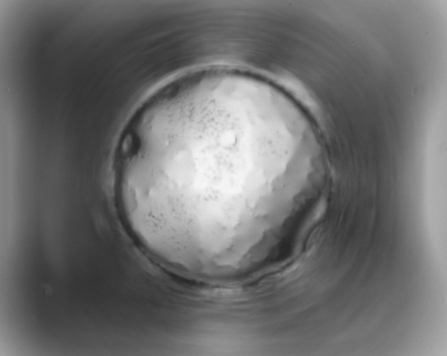 X0000089761287200707051826