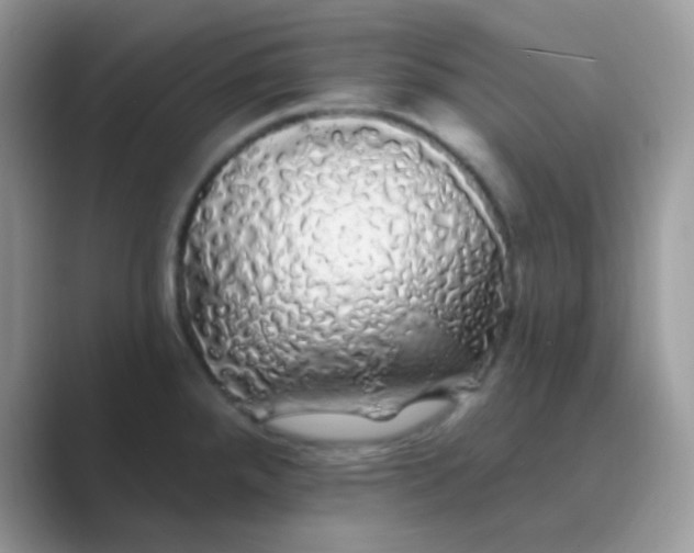 X0000089761288200707051826