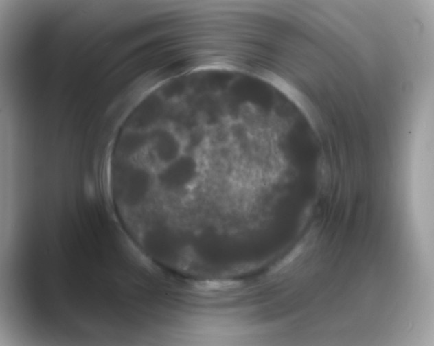 X0000089761290200707051826